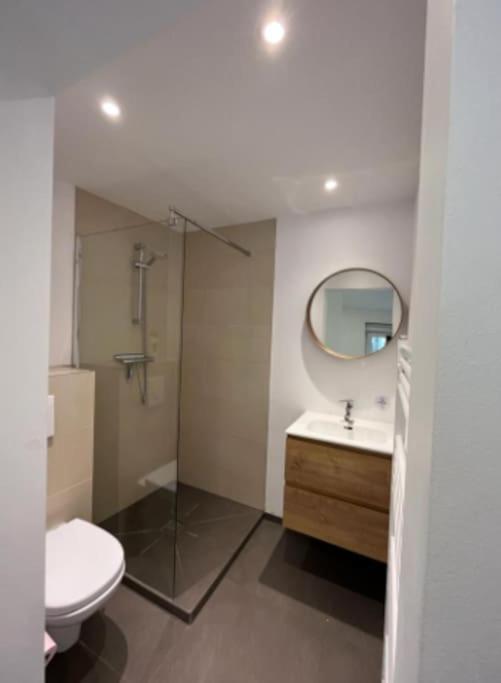 Cosy Studio In Pfaffenthal Lift Apartment Luxembourg